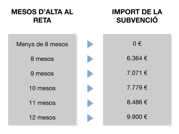 infografia-subvencions-import-cat